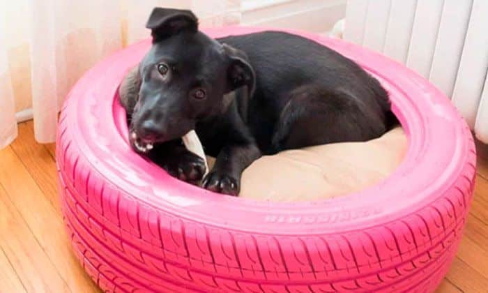 cama de pneus reutilizados para animais de estimação